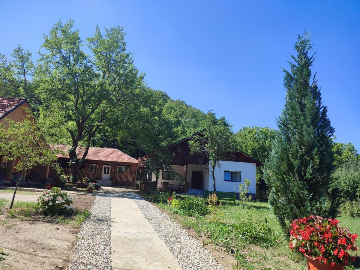 Dumbrava Minunata Pesteana Exteriér fotografie